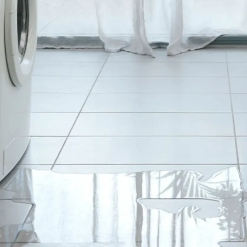 Appliance Leak Cleanup in Skagit County, WA