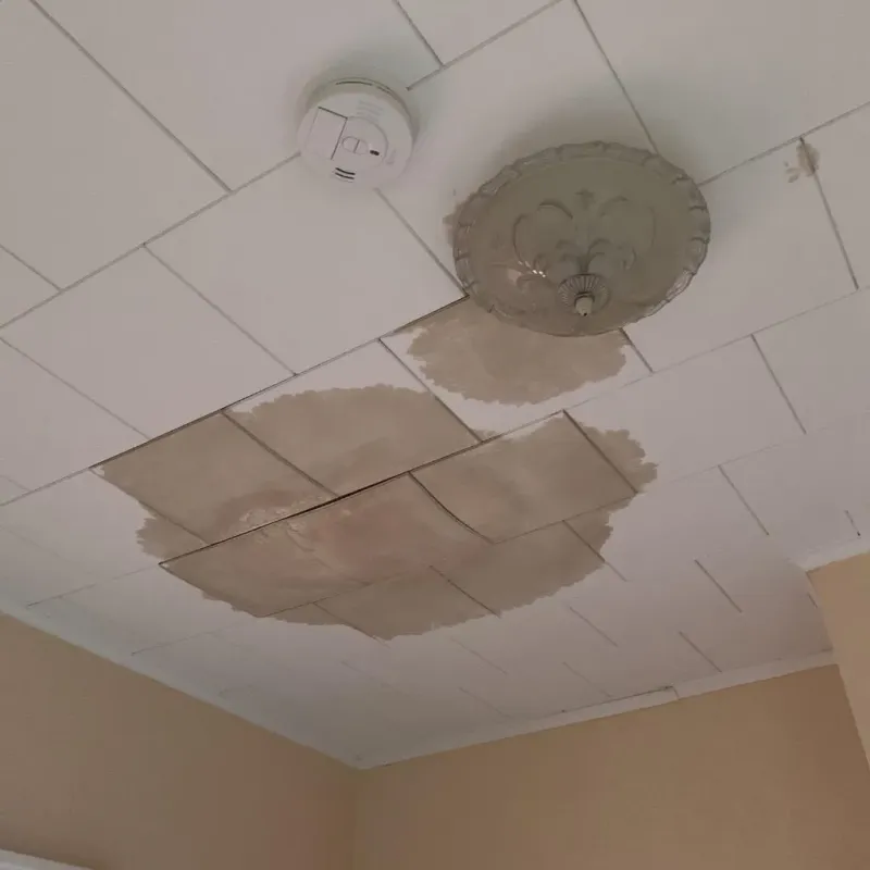 Ceiling Water Damage Repair in Skagit County, WA